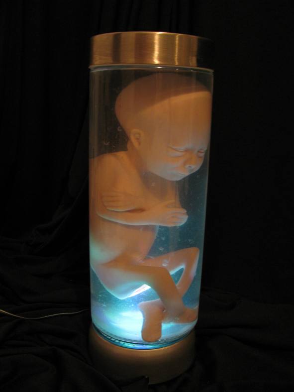 Dude! I'm making a baby!