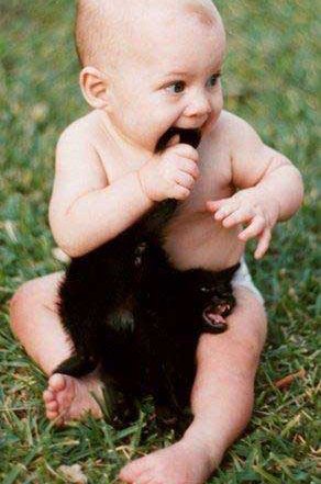 super_funny_cute images_fa259d05b276b96ac53bdb146b38995e