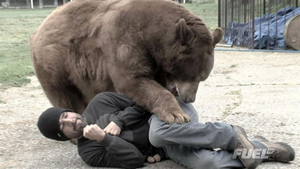 feministbear