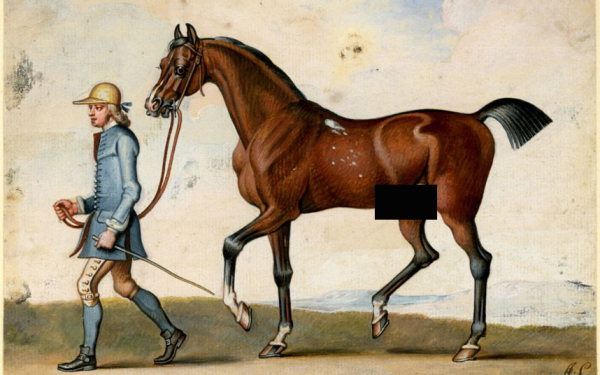 horseanddude2
