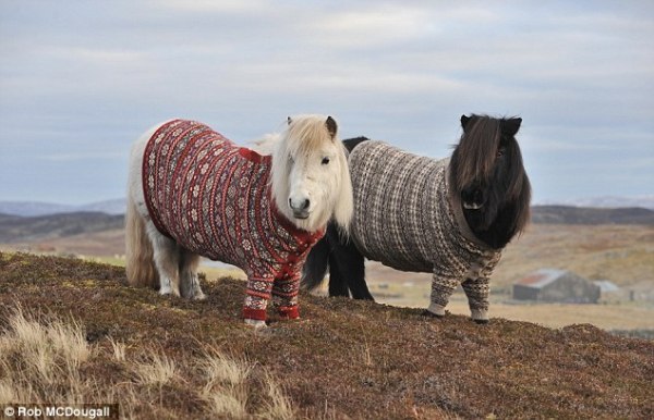 These ponies want nothing to do with the Red Pill subreddit
