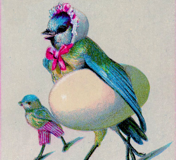 Dirty scheming bird women!