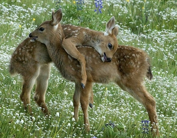 Hugs for everyone who wants them.