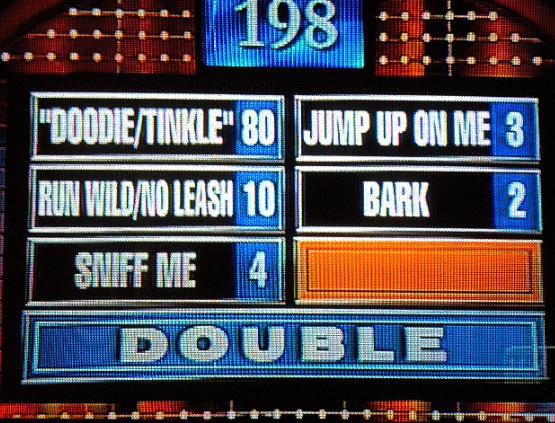 Survey says: Actually, none of these are options on the Man Boobz survey
