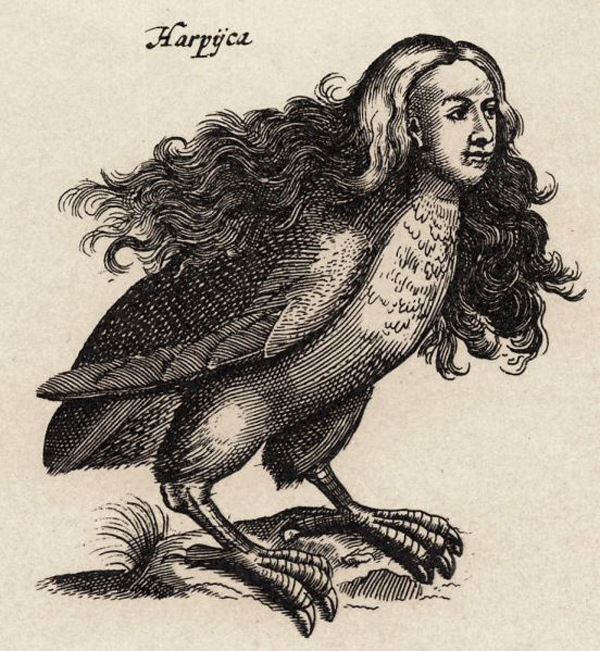 Harpy1