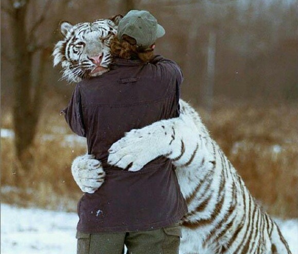 Hugs if you want them.