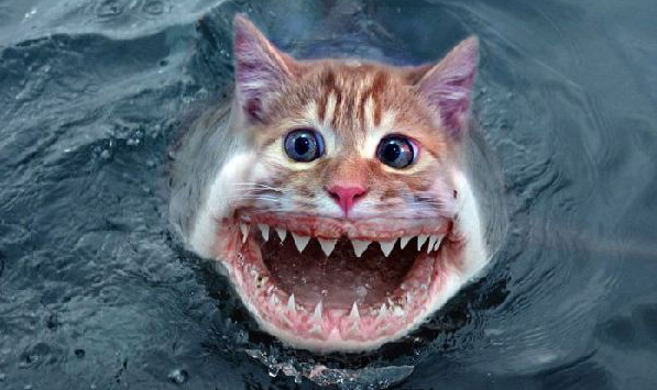 At least let me be eaten by oe of these.
