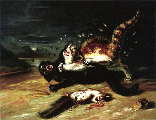Aw, kitties!