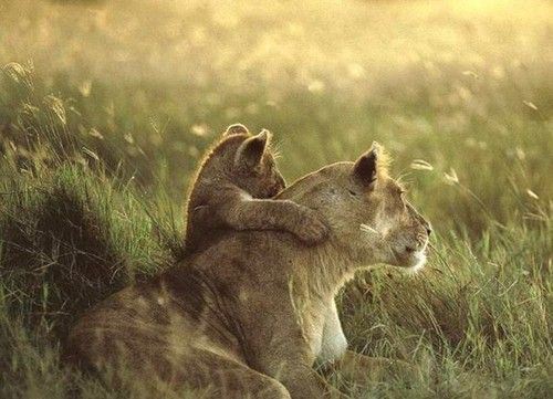 Hugs for anyone who needs them. 