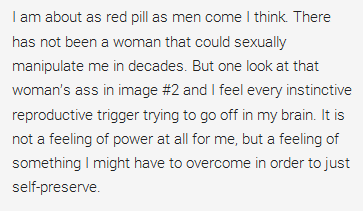 I am about as red pill as men come I think. There has not been a woman that could sexually manipulate me in decades. But one look at that woman’s ass in image #2 and I feel every instinctive reproductive trigger trying to go off in my brain. It is not a feeling of power at all for me, but a feeling of something I might have to overcome in order to just self-preserve. 