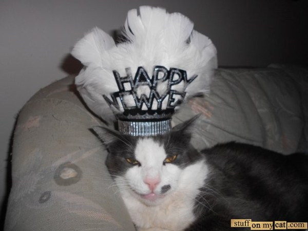 Newyearcat