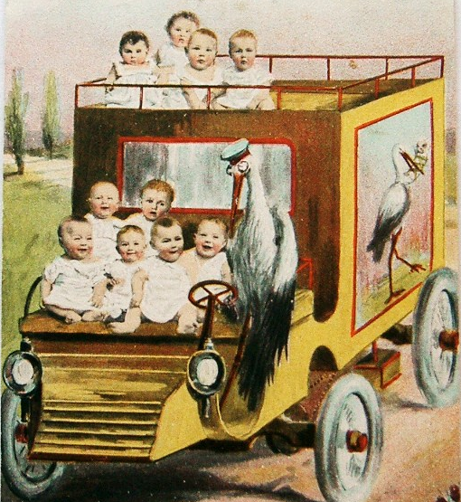 A shipment of white babies.
