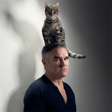 Pretty Cats Make Hats