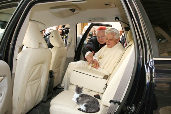 Famous Pope With Cat
