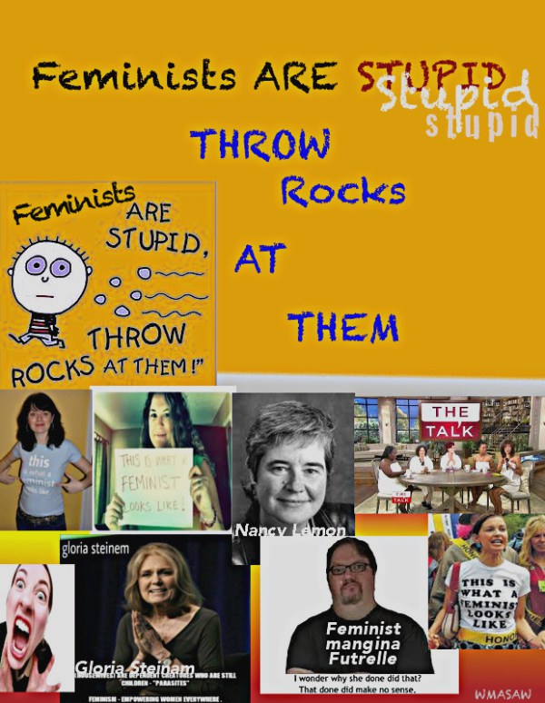 feminists-are-stupid