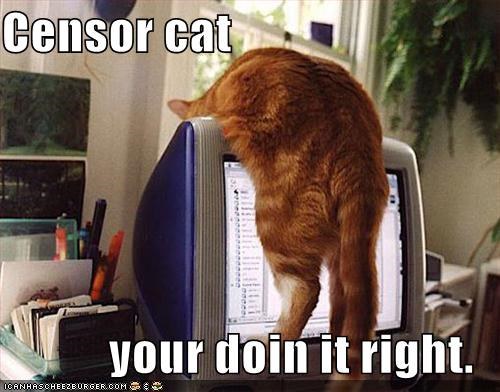How comments are moderated at Man Boobz.
